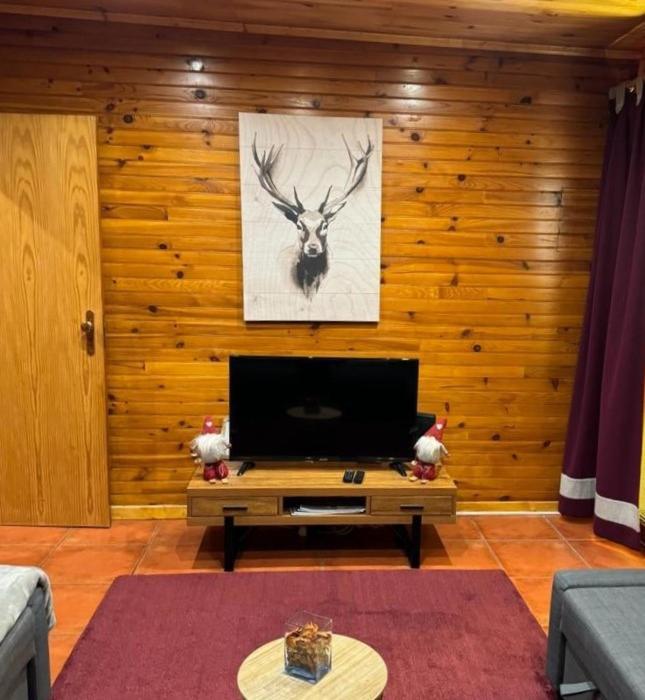 Mountain Lodge T3 Duplex Abrigo Do Lobo 科维良 外观 照片