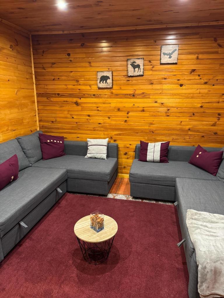 Mountain Lodge T3 Duplex Abrigo Do Lobo 科维良 外观 照片