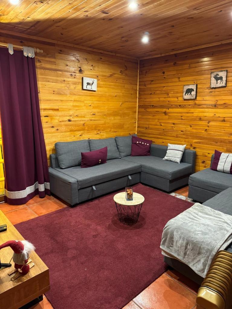 Mountain Lodge T3 Duplex Abrigo Do Lobo 科维良 外观 照片